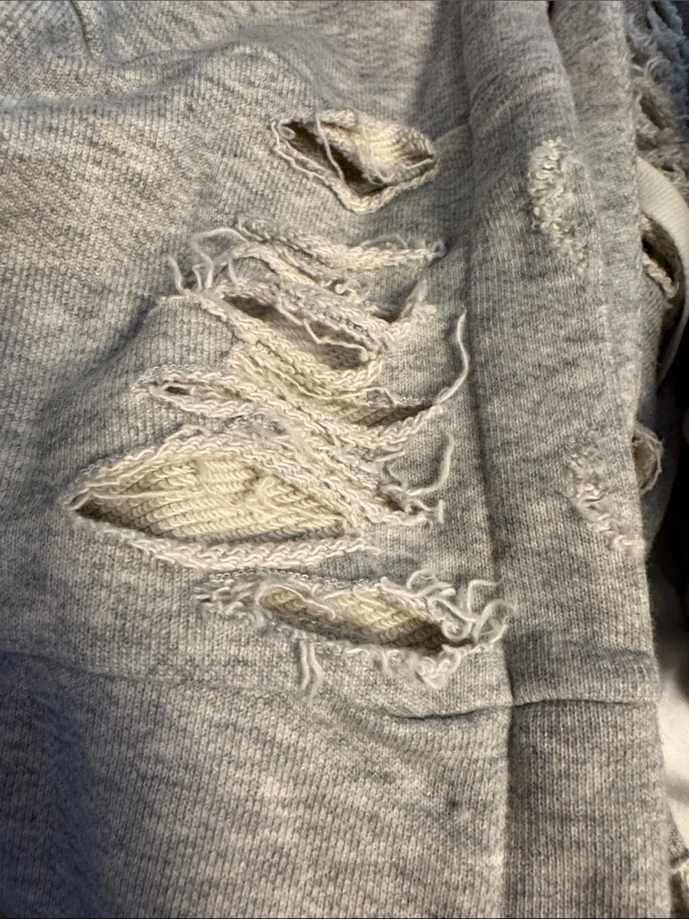 Alo Hooded Distressed Sweatshirt